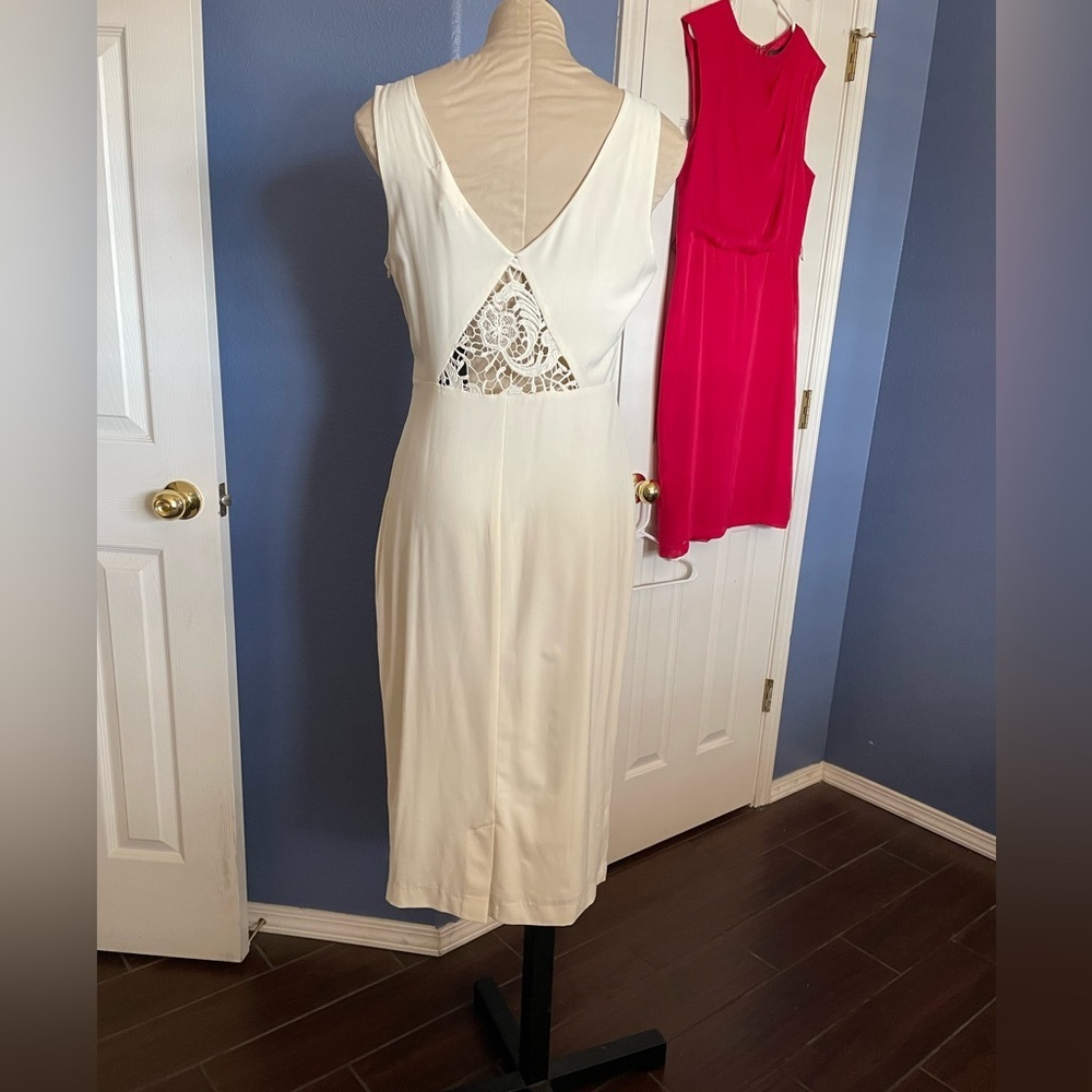 Black Swan Ecru Midi Sleeveless Dress - Picture 6 of 11